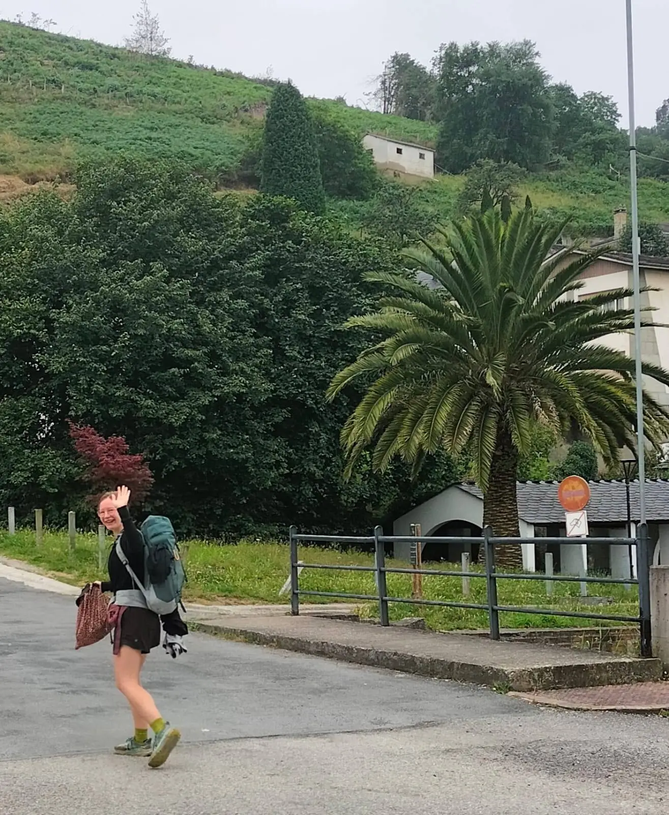 Despedida camino